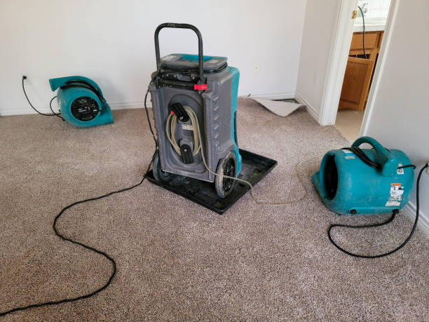Best Sewage cleanup and water damage restoration  in Owensville, IN