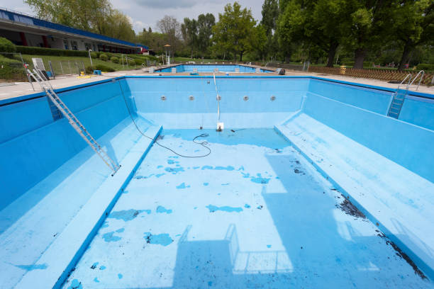 Best Water damage contractors near me  in Owensville, IN