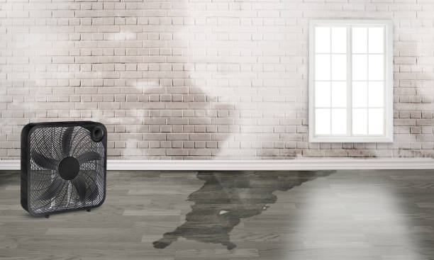 Professional Water damage restoration in Owensville, IN