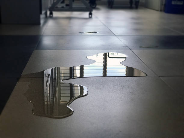 Best Water damage mitigation services  in Owensville, IN