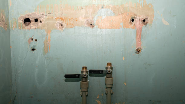 Best Water damage restoration near me  in Owensville, IN