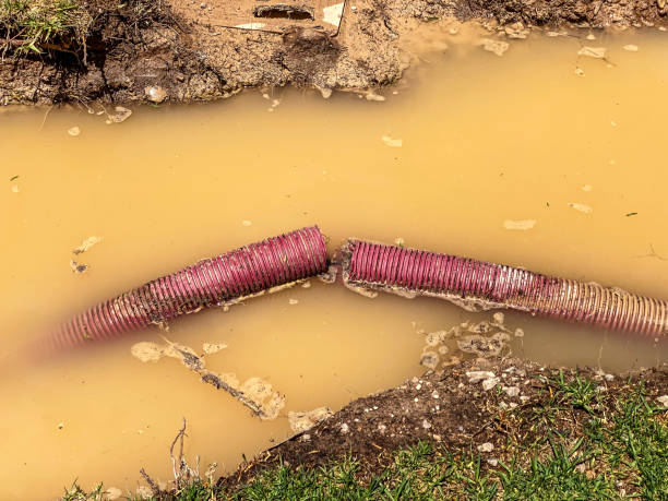  Owensville, IN Water damage restoration Pros